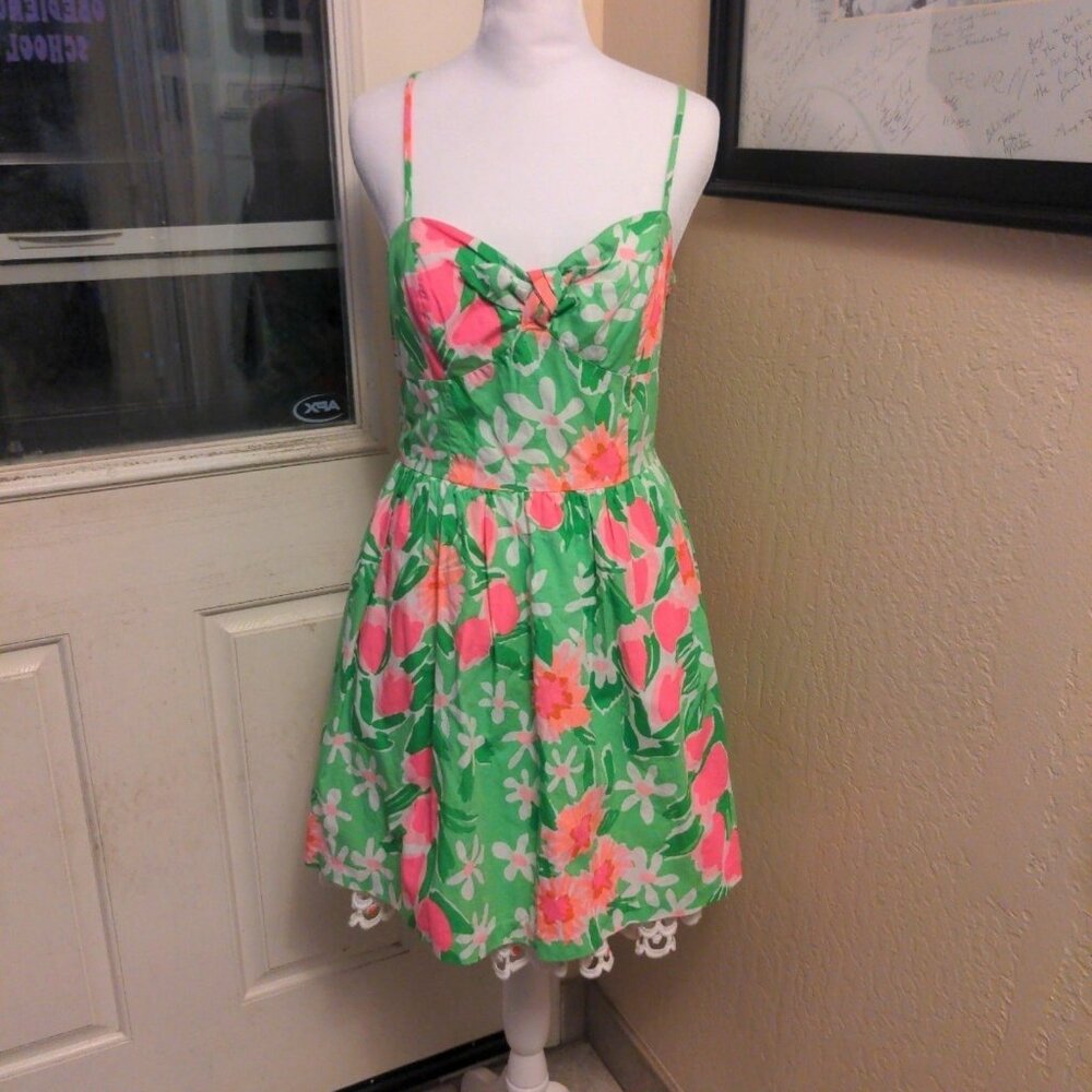 Lilly Pulitzer Dress (4)